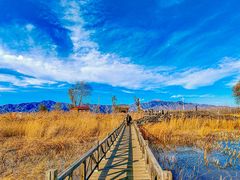 -野鸭湖国家湿地公园