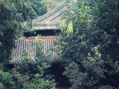 -大觉寺-停车场