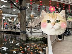 -南宫五洲植物乐园