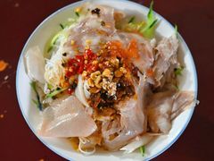 -邓氏大薄片
