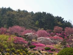 -石岛赤山风景区