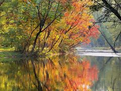 -长白岛森林公园