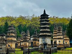 景点-少林寺景区