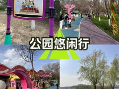 -大兴滨河森林公园