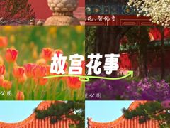 -北京凤凰岭