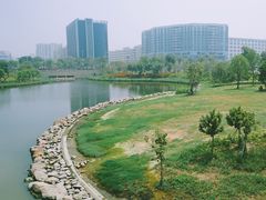 -宝安西湾红树林湿地公园