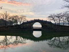 -长广溪湿地公园