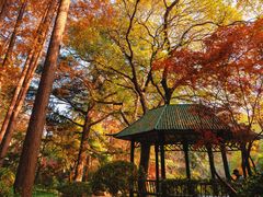 -中山公园