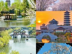 -渌洋湖湿地公园