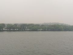 -西湖外事游船(花港观鱼码头)