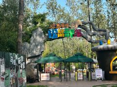 -合肥滨湖国家森林公园