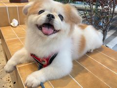 -一坐一忘云南菜(卓悦中心)