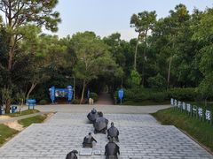 -广东惠东海龟国家级自然保护区