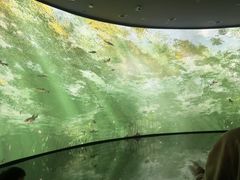 -中国湿地博物馆