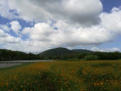 -亚龙湾国际玫瑰谷
