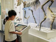 -国家自然博物馆