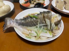 -小蝌蚪·寻·月嫂(普陀总部)