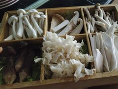 -芭夯兔·兔肉汤锅(新都店)