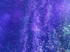 -沈阳海洋探索中心