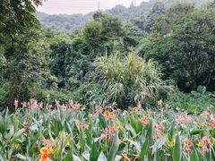 -阳台山森林公园