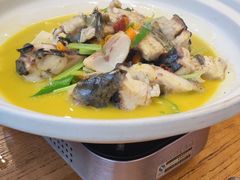 -饭怕鱼(阳光100店)