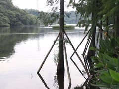 -重庆彩云湖湿地公园