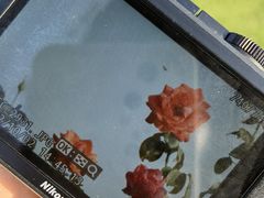 -荷兰花海