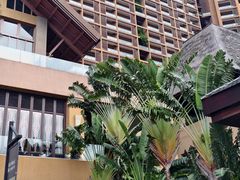 -海南椰子鸡餐厅(三亚湾红树林店)