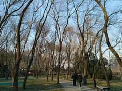 -玲珑塔公园
