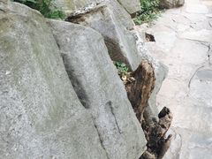 -嵩山少林文化旅游景区