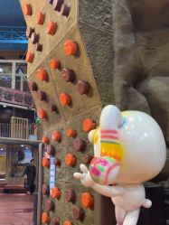 -卡通尼·Safari非洲探索乐园·生日会(金桥国际商业广场店)