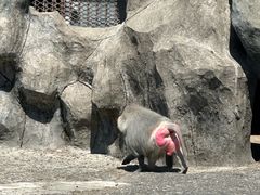 -宁波野生动物园