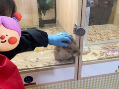 -三亚亚龙湾人间天堂鸟巢度假村