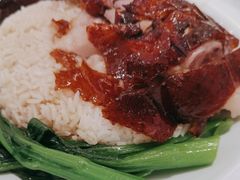 -新世界餐厅(万达店)
