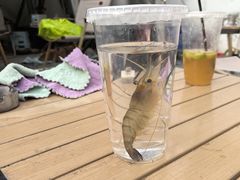 -DGE季风钓虾营地·团建·聚会
