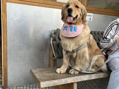 -堂屋糖水店(愚园店)