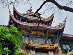 -四川大学(华西校区)