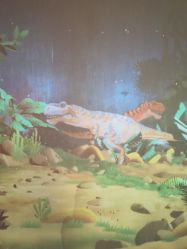 -恐龙探索乐园(磁器口店)