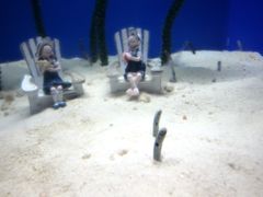 -烟台海昌鲸鲨海洋公园