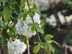 -MOJ coffee(瓯海泽雅水碓坑店)