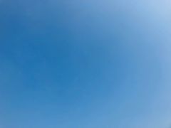 -上海棕榈滩海景酒店