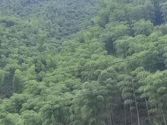 -棒约翰比萨·意面(松江开元店)