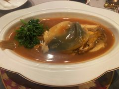 -沈灶河豚宴·河豚融合餐厅(汉中路店)