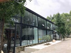 -桉树林A coffee 森林餐厅(三圣乡店)