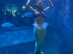 -威海华夏城景区