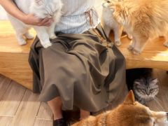 -李小姐の猫咖啡馆(五角场店)