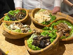 -滇野云南野生菌餐厅(陕西南路店)