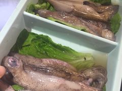 -耍哥串串香(香月湖店)
