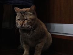 -宽窄巷子冒菜(中华广场店)