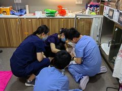 -御宝贝24h宠物医院·转诊中心·CT核磁血透中心(厦门总院)